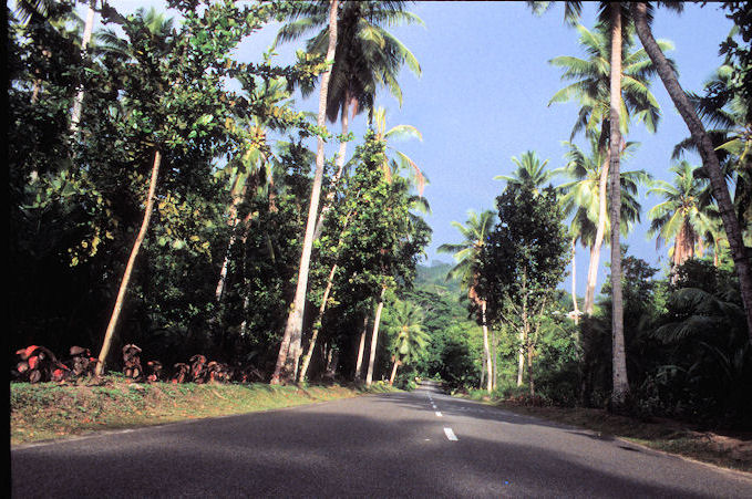 Seychellen 1999-044.jpg